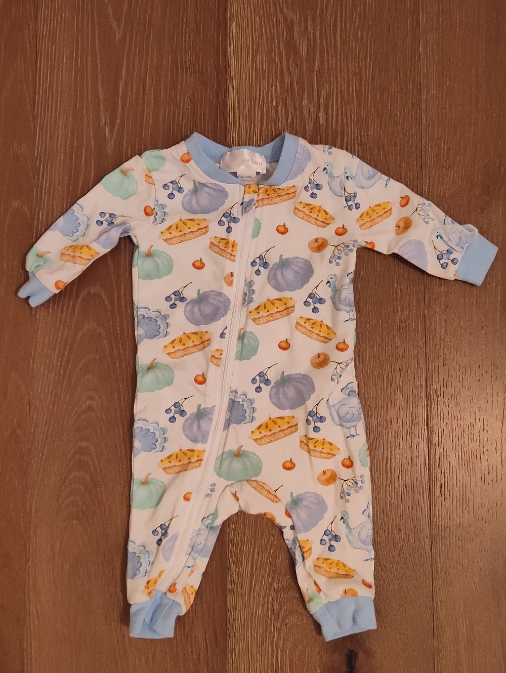 Cecil & Lou One-Piece Footless Pajamas in Blue Pumpkin Print